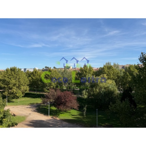 Vistas